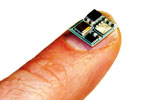 Chip on fingertip
